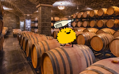 How Much Does Wine Storage Cost in 2025? Solutions and Pricing for Storing Wine Collections of Any Size