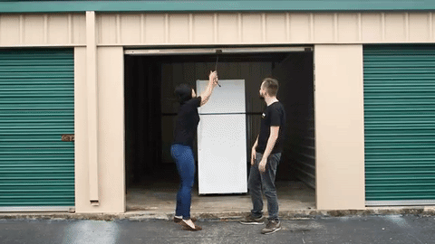 giphy (62)