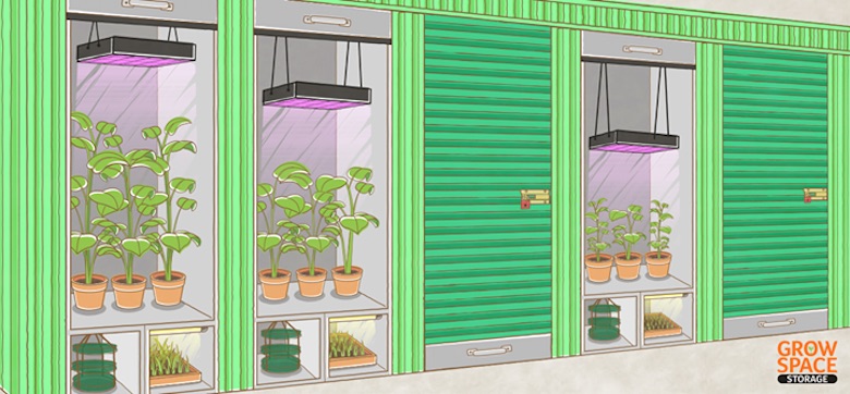 Grow Space Storage will provide self-contained pods designed for growing marijuana.