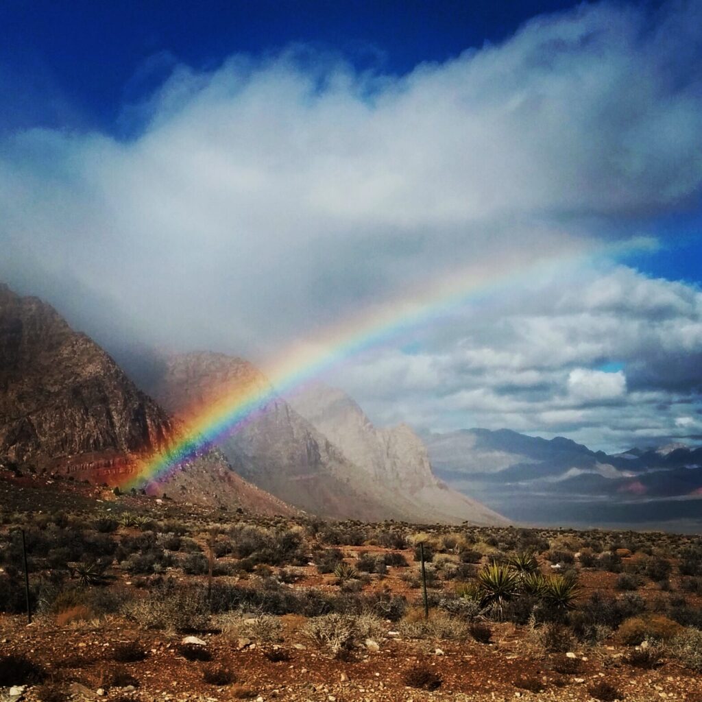A rainbow in Red Rock Canyon, just 20 minutes outside of Las Vegas. Credit: Reannon Muth.
