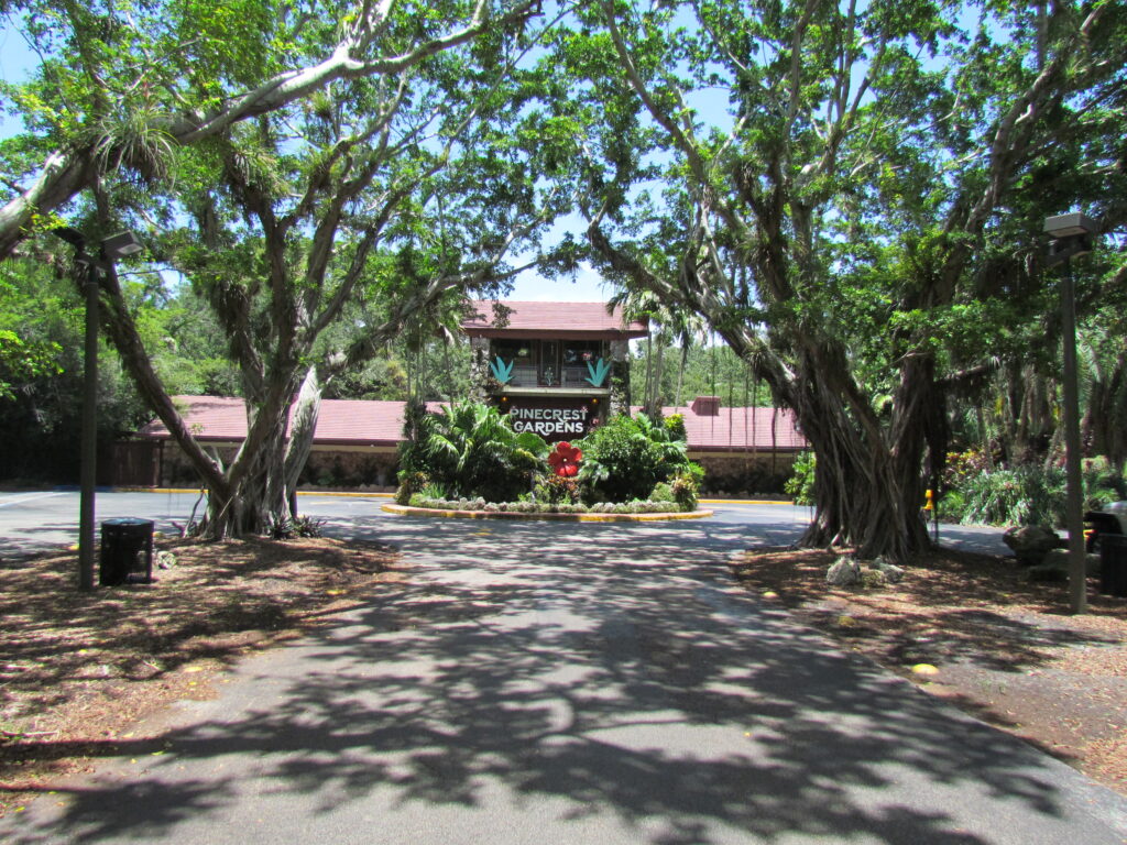 Pinecrest_Rocio Casales
