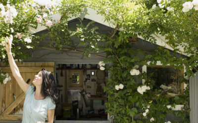 Need a Place to Get Away? 10 Tips to Create Your Own “She Shed”