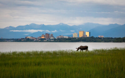 The 10 Best Neighborhood in Anchorage, AK