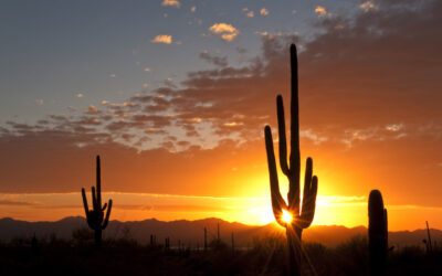 6 Reasons Why You Should Think Twice About Moving to Tucson