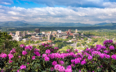 Moving to Asheville, NC